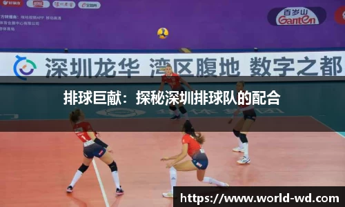 排球巨献：探秘深圳排球队的配合
